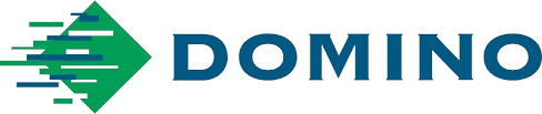 Domino Logo